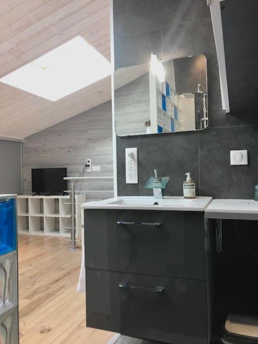 Apartament Duplex Atypique 20' De Toulouse Leguevin Zewnętrze zdjęcie
