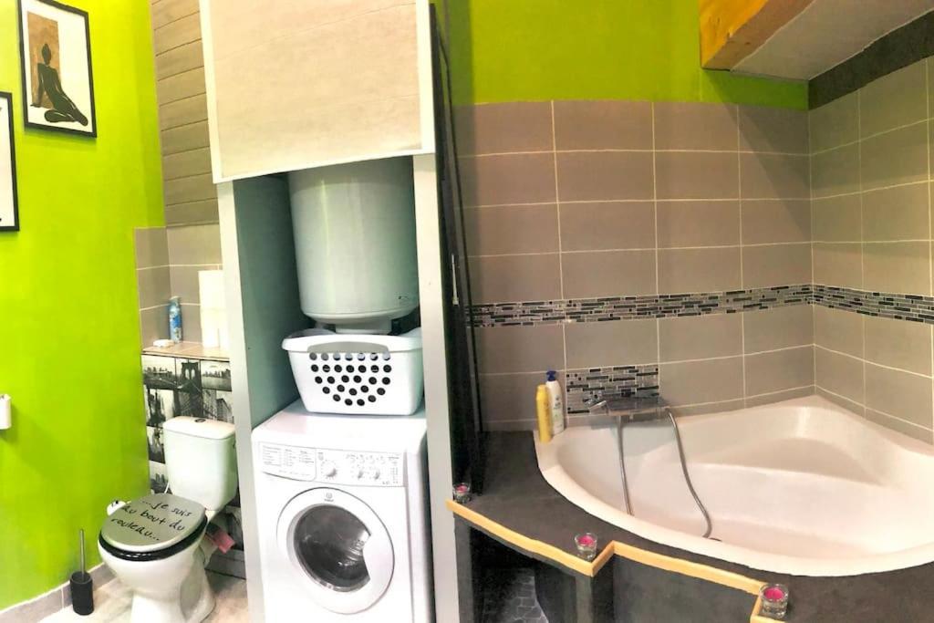 Apartament Duplex Atypique 20' De Toulouse Leguevin Zewnętrze zdjęcie